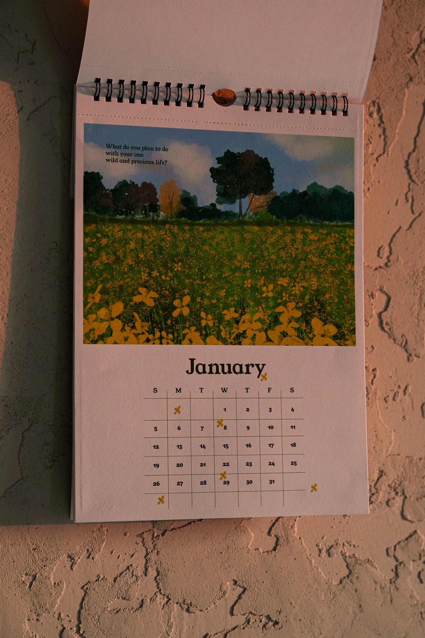 2025 Calendar